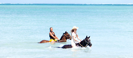 Being with Horses, Tobago