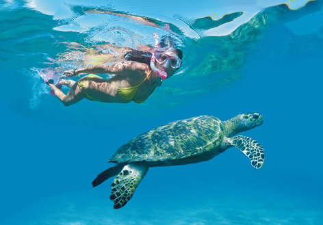 Snorkelling in Tobago 